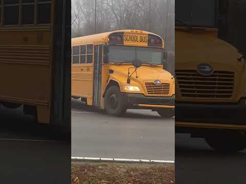School Bus 884. It’s a Bluebird