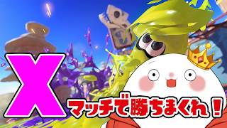 【サーモンラン】　少しだけガチマッチやる　part.1744　 #splatoon3    #サーモンラン　#スプラトゥーン3