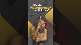 Was unsere Neandertaler-DNA mit Diabetes zu tun hat