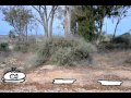 The Promised Sand (Calexico - Pepita) - Bezalel Animation
