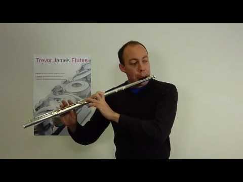 Trevor James Virtuoso flute with wooden lip plate