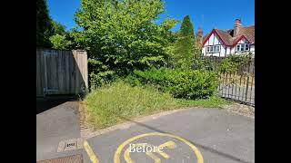 Album cover: stickleberries