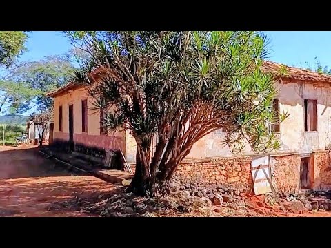 Casarão De Quase Duzentos Anos Com Engenho E Fabricação De Rapadura Artesanal 