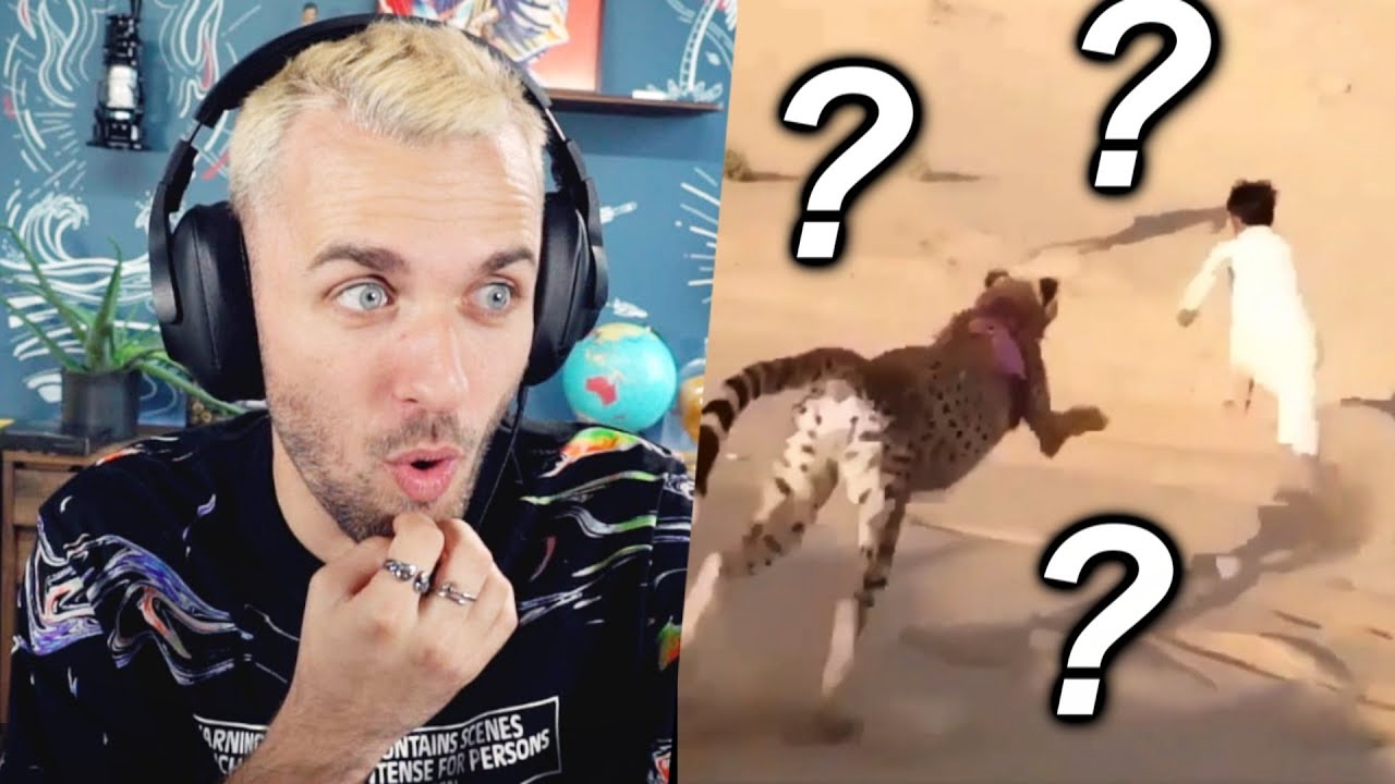 Ça commence mal mais ça finit bien... thumbnail