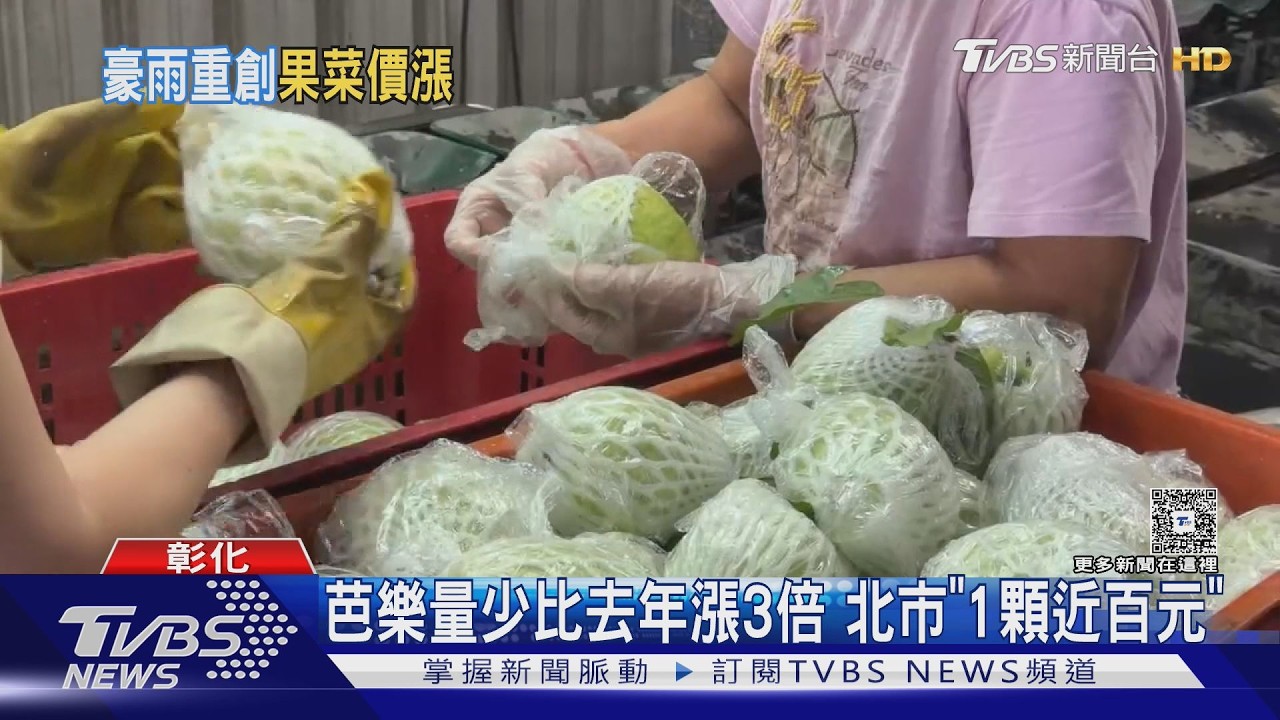 芭樂貴翻天!產地價飆50元「北部1顆近百」 果農曝漲價內幕