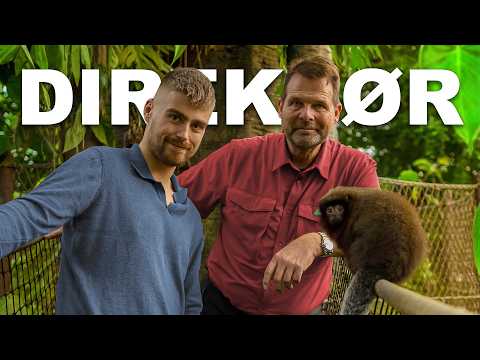 En dag som direktør for Randers Regnskov med Henrik Herold