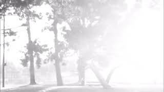 Death Cab For Cutie - Champagne From A Paper Cup