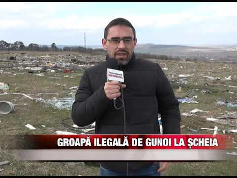 Groapa ilegală de gunoi la Șcheia