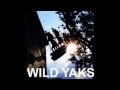 wild yaks- river may come 