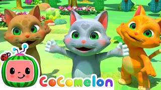 Cover art for Your mom shoe