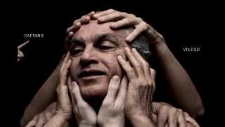 Quando o Galo Cantou