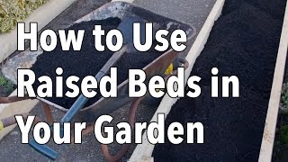 How to Use Raised Beds in Your Garden