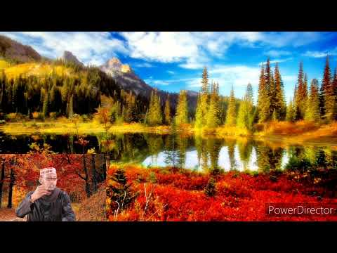 cilaaj,     ayaadka jinka  sh, mukhtar                                             iska daawee jinka