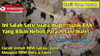 Download lagu SUARA INAP WALET NO 1 PRODUK BAN Yang Masih Banyak Dicari PETANI WALET!! Hasil Open Protek mp3