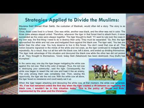 Unity of Ummah