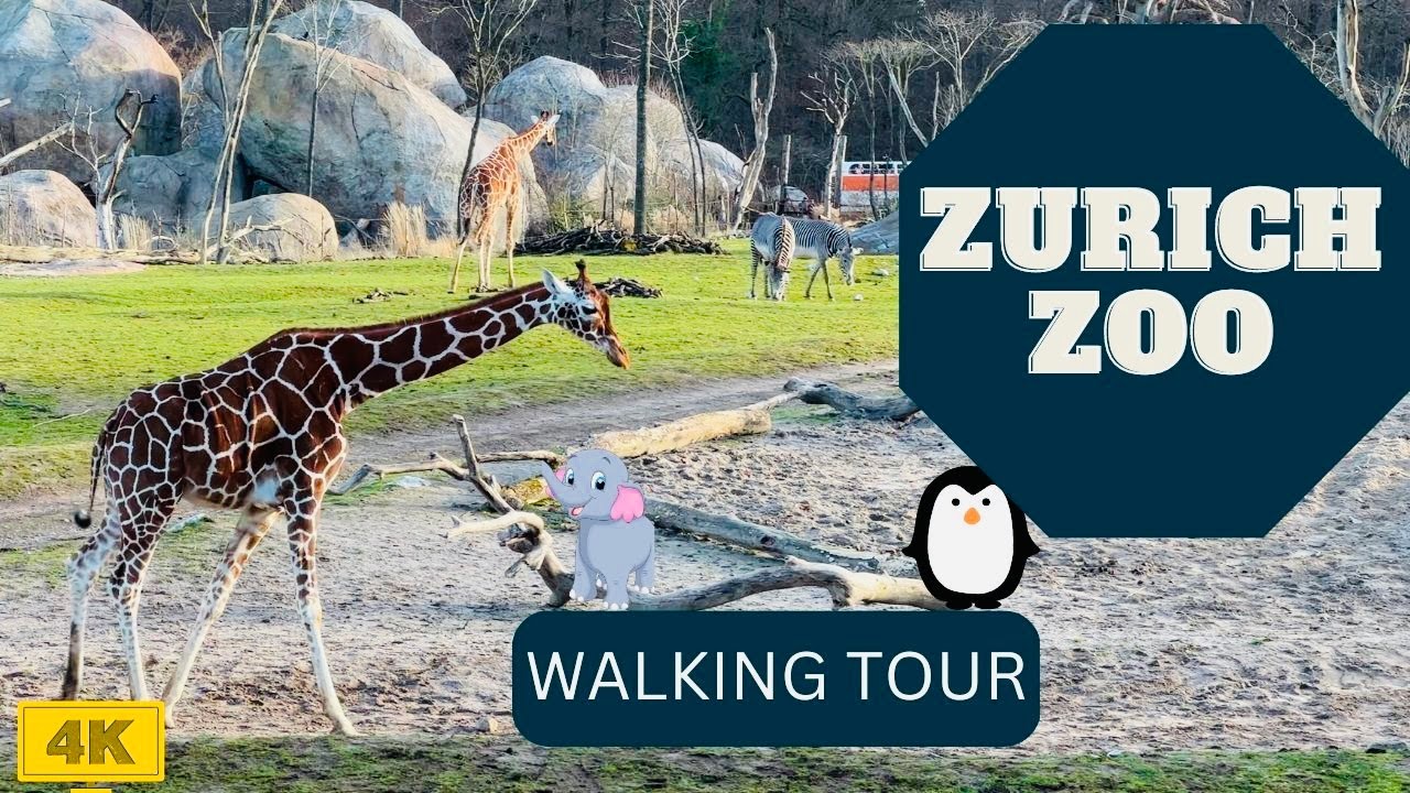 A family-friendly attraction, Zurich Zoo offers interactive exhibits and daily animal feedings.