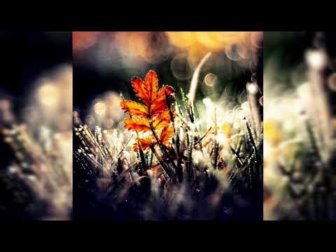 432HZ lexer feat  audrey janssens till dawn