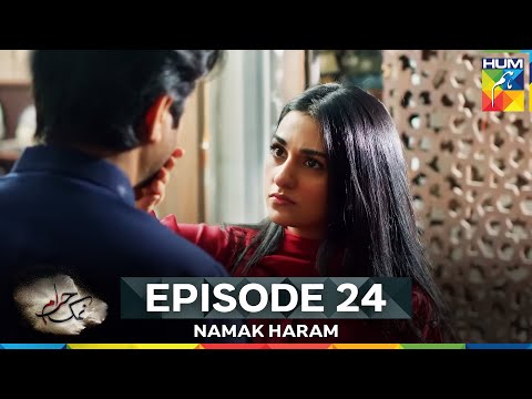 Namak Haram Episode 24