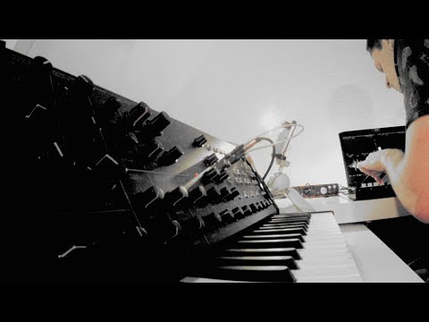 MS 20 Live Techno Jam - Photon - (Korg MS-20 Mini, Korg Volca Keys)