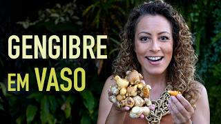 Miniatura do vídeo