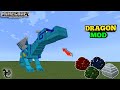 How to download Best DRAGON Addon (Mod) In MCPE | Dragons Addon use in Pocket edition 🔥 In Survival🤯