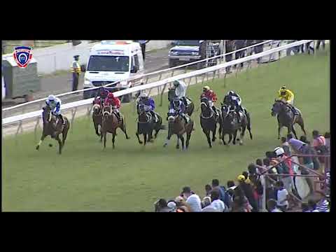 RM12 R3 | Texas Sky | B.Reis