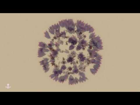 MEMBA x Ricky James - Opposites Attract (Official Visualizer)