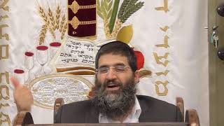 הרב אופיר טנג' - אמונה פרשה - פרשת וזאת הברכה - אם תקום עלי מלחמה בזאת אני בוטח!