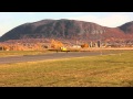 HD Beautiful Hummelbird Bouncy Landing CSB3