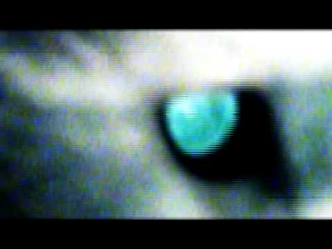 Xicury Dub System Session