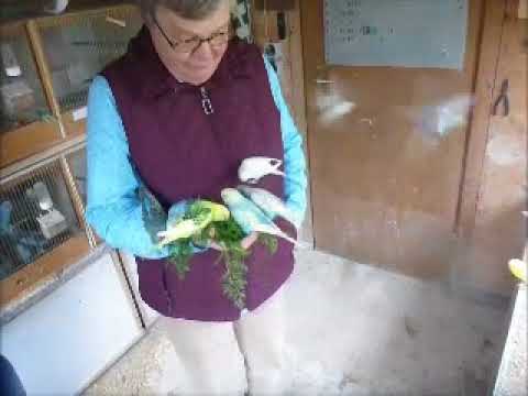 2017 11 23 Svens Ma Hamburg