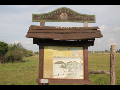 Madárdal tanösvény - A Szikes és a Müller István túra
