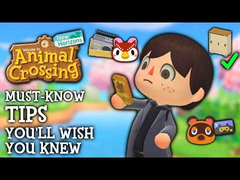 10 Tips I WISH I Knew Sooner in Animal Crossing New Horizons