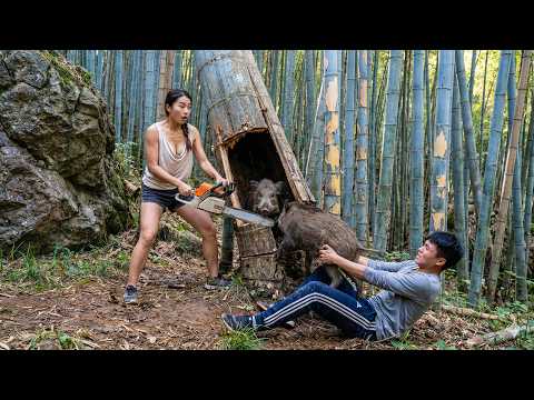 Shocking! Woman Risks Her Life Harvesting Two Wild Boars with a Chainsaw - What Happens Next?