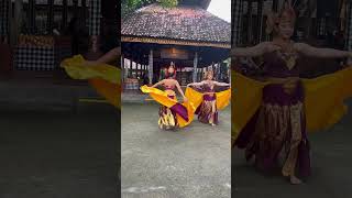 Download lagu #bestdancevideo #dance #bali #indonesia #culturaldance #culture #balizoo #youtubeshorts #youtube mp3 Download lagu #bestdancevideo #dance #bali #indonesia #culturaldance #culture #balizoo #youtubeshorts #youtube mp3