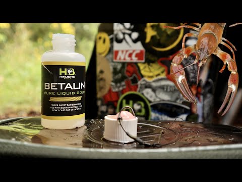 Combat The Crayfish With These Bait Tips 🦞❌ || Martyns Angling Adventures