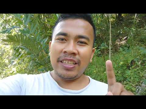 Sony Xz, Redmi N3 and Samsung J4 Incoming Call From my Phone