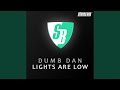 Lights Are Low (StoneBridge Re-Edit)