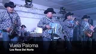 El Capiro y Vuela Paloma Los Reos Del Norte XV Años Laura Lazo 12.6.14