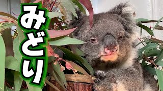 淡路島の名所旧跡・イングランドの丘