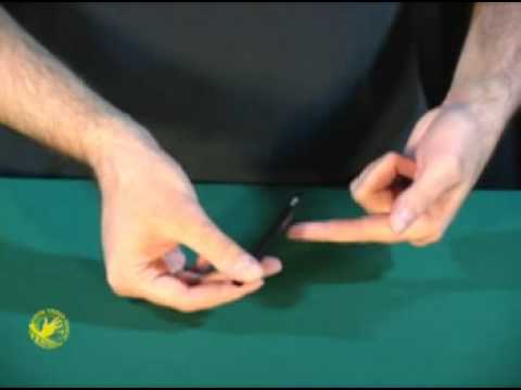 Amazing Jumping Arrow by Mark K. Young