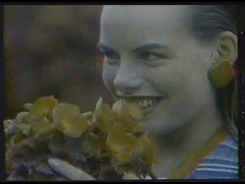 Intervalo Comercial - TV Globo - Ago 86