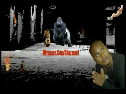 Shazman - JUNGLE FEVER PROMO