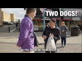 TWO DOGS TROY HAWKE GREETERS GUILD