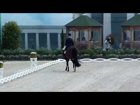 CHIO Aachen 2010 - Grand Prix - Viktoria Max -Theurer