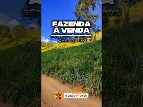EXCELENTE PROPRIEDADE 200 ALQUEIRES CARLOS CHAGAS-MG R$ 24 MILHÕES #gado #mercadoagricola #agro