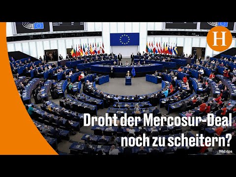Mercosur: EU-Parlament stimmt für EuGH-Prüfung des Freihandelsabkommens