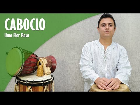 PONTO DE CABOCLA JUPIRA (Uma flor rosa)