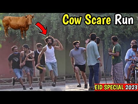 Ultimate Cow Scare Run Prank | EID Special 2023 | LahoriFied