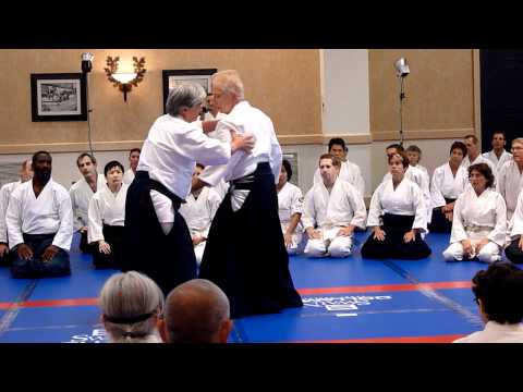 Yamada Sensei Tsuki Iriminage